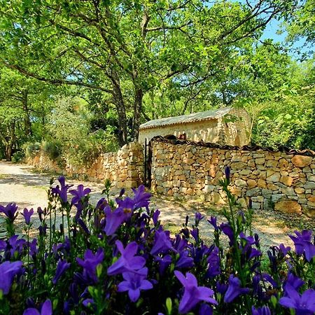 פייאנס Le Donjon Des Combes Et Son Spa מראה חיצוני תמונה